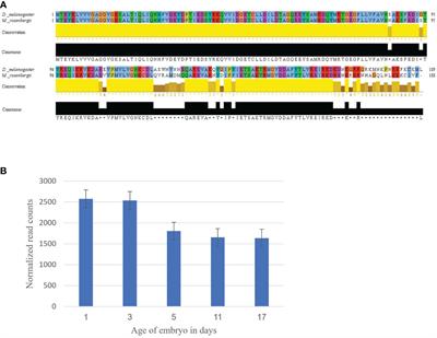 Enhanced proliferation in a prawn embryonic primary cell culture ectopically expressing mutated Ras